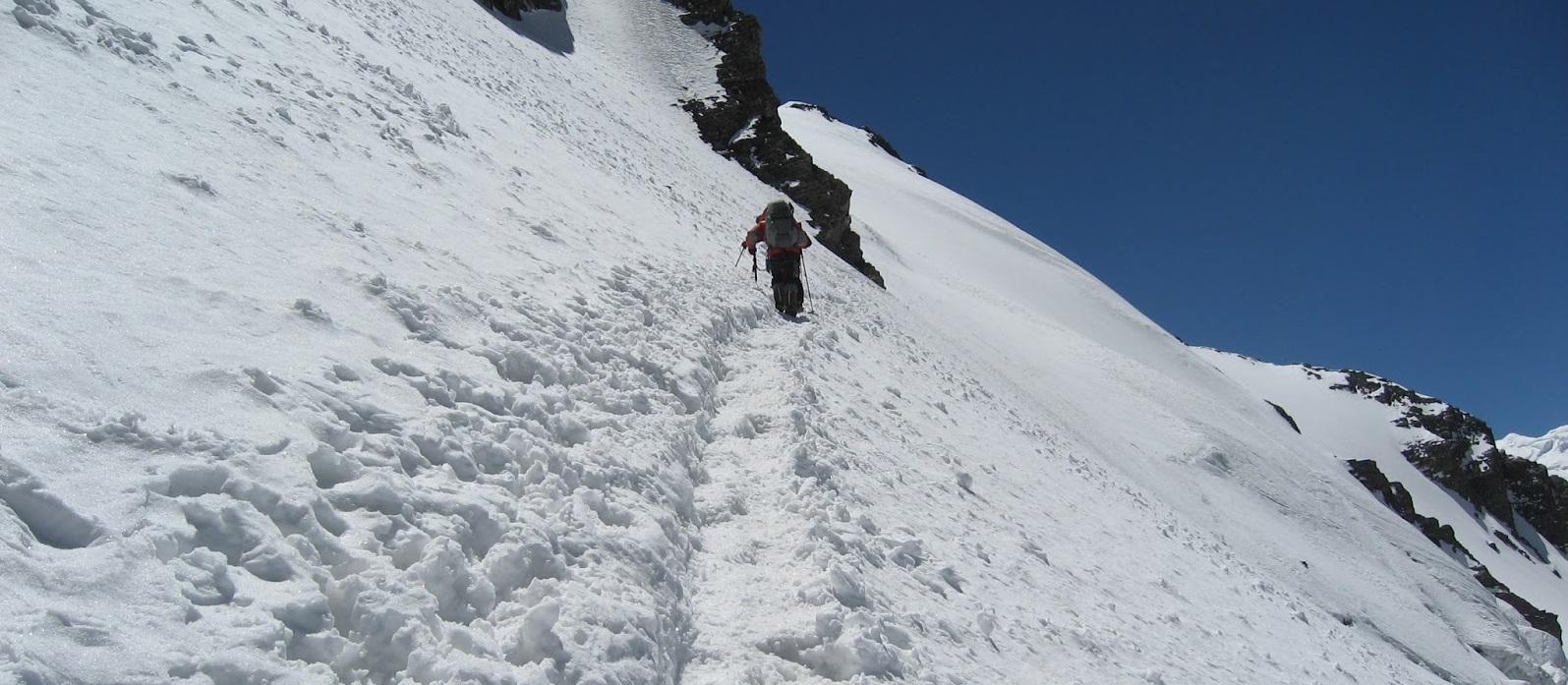 Leopardo de las Nieves – Tayhikistan / Khirguistan